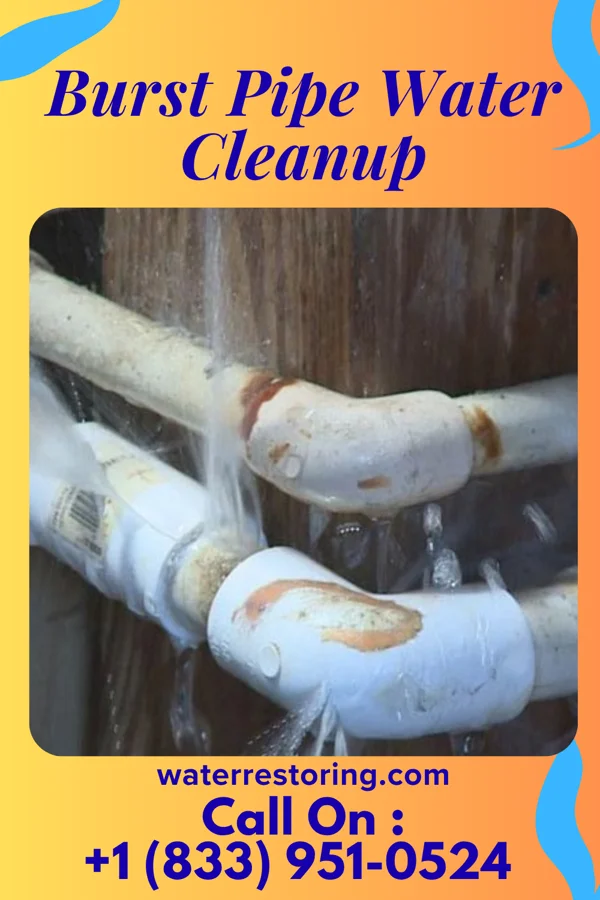 Burst Pipe Water Cleanup in Harrison, AR