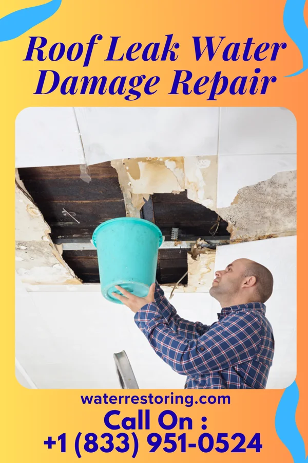 Roof Leak Water Damage Repair in Harrison, AR