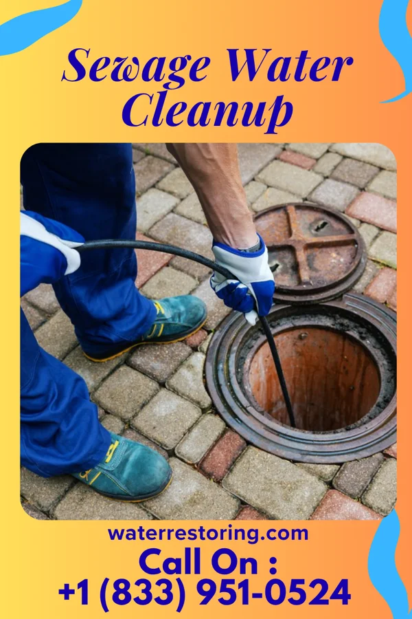 Sewage Water Cleanup in Harrison, AR